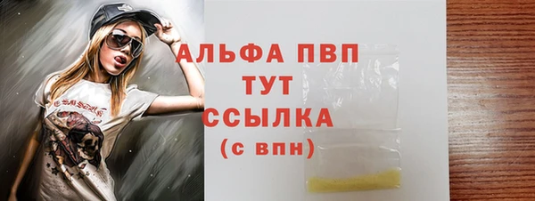 PSILOCYBIN Алзамай