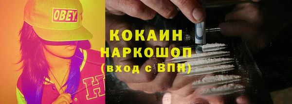 PSILOCYBIN Алзамай