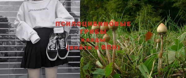 бошки Алексеевка