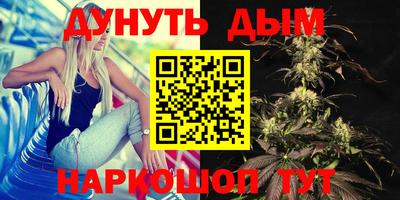 эйфоретик Владимир