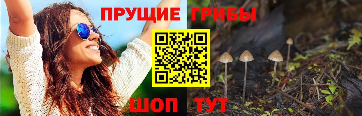Алушта  Галлюциногенные грибы ЛСД  Вход с VPN 
