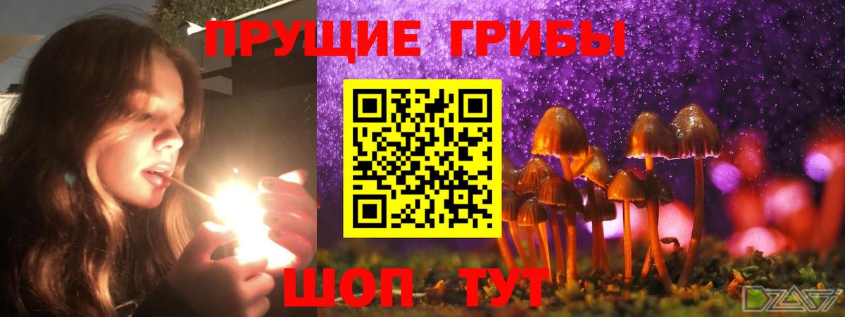 Псилоцибиновые грибы MAGIC MUSHROOMS Алушта
